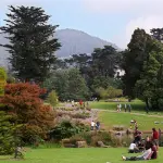 Golden Gate Park